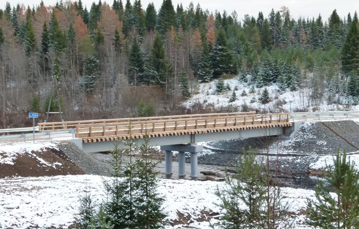 Мост через реку Ледь